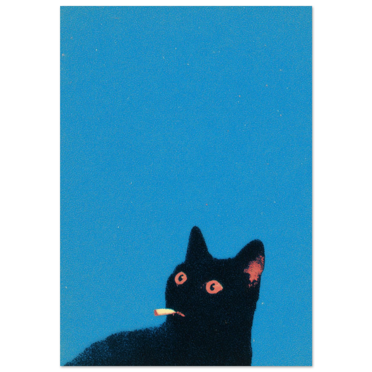 dafuq - Print Material - NoCatNoHat