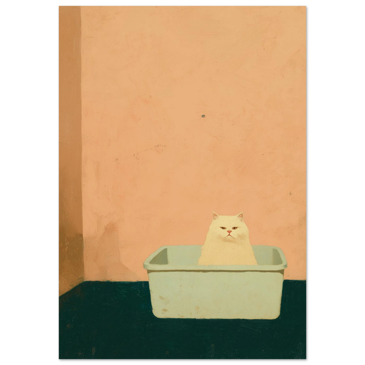 lit box - Print Material - NoCatNoHat