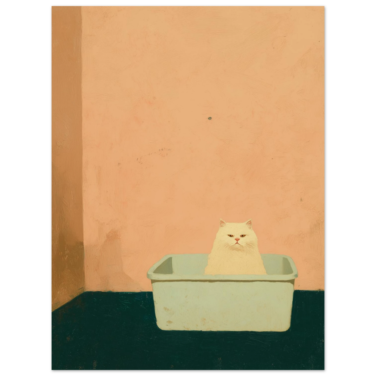 lit box - Print Material - NoCatNoHat