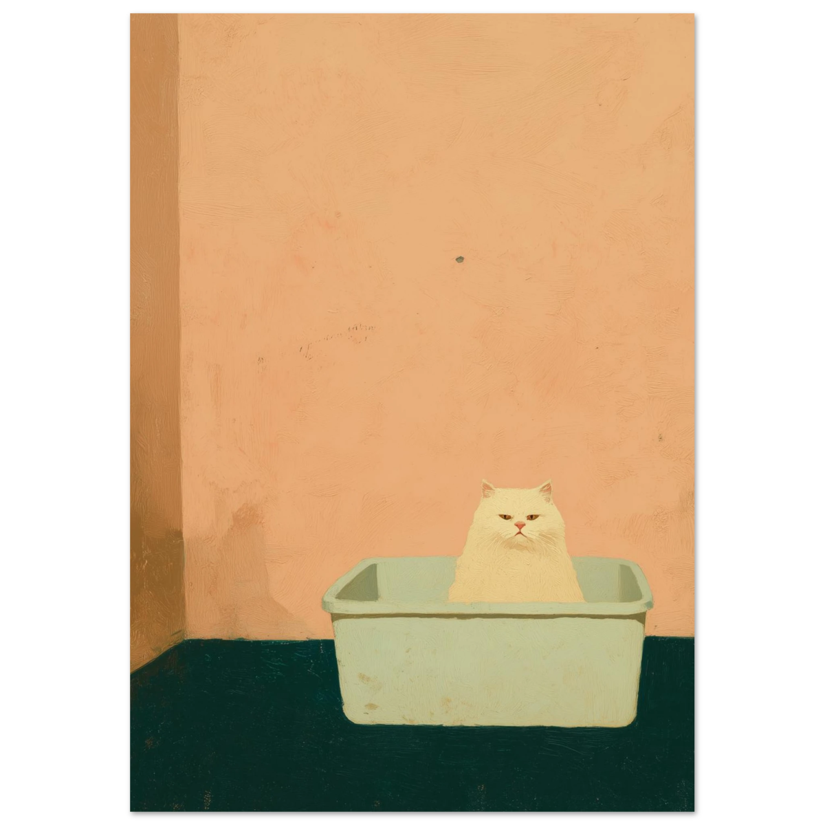 lit box - Print Material - NoCatNoHat