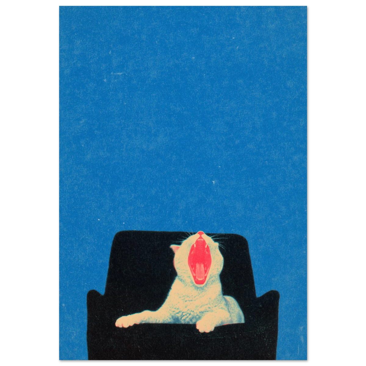 yawn - Print Material - NoCatNoHat